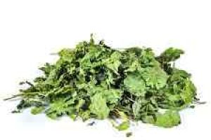nettle