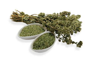 origano