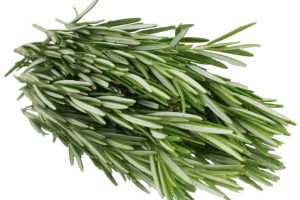 rosemary1