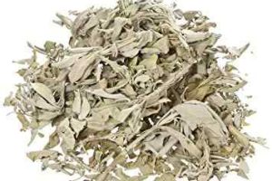 sage