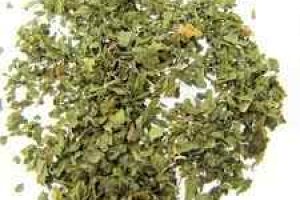 spearmint